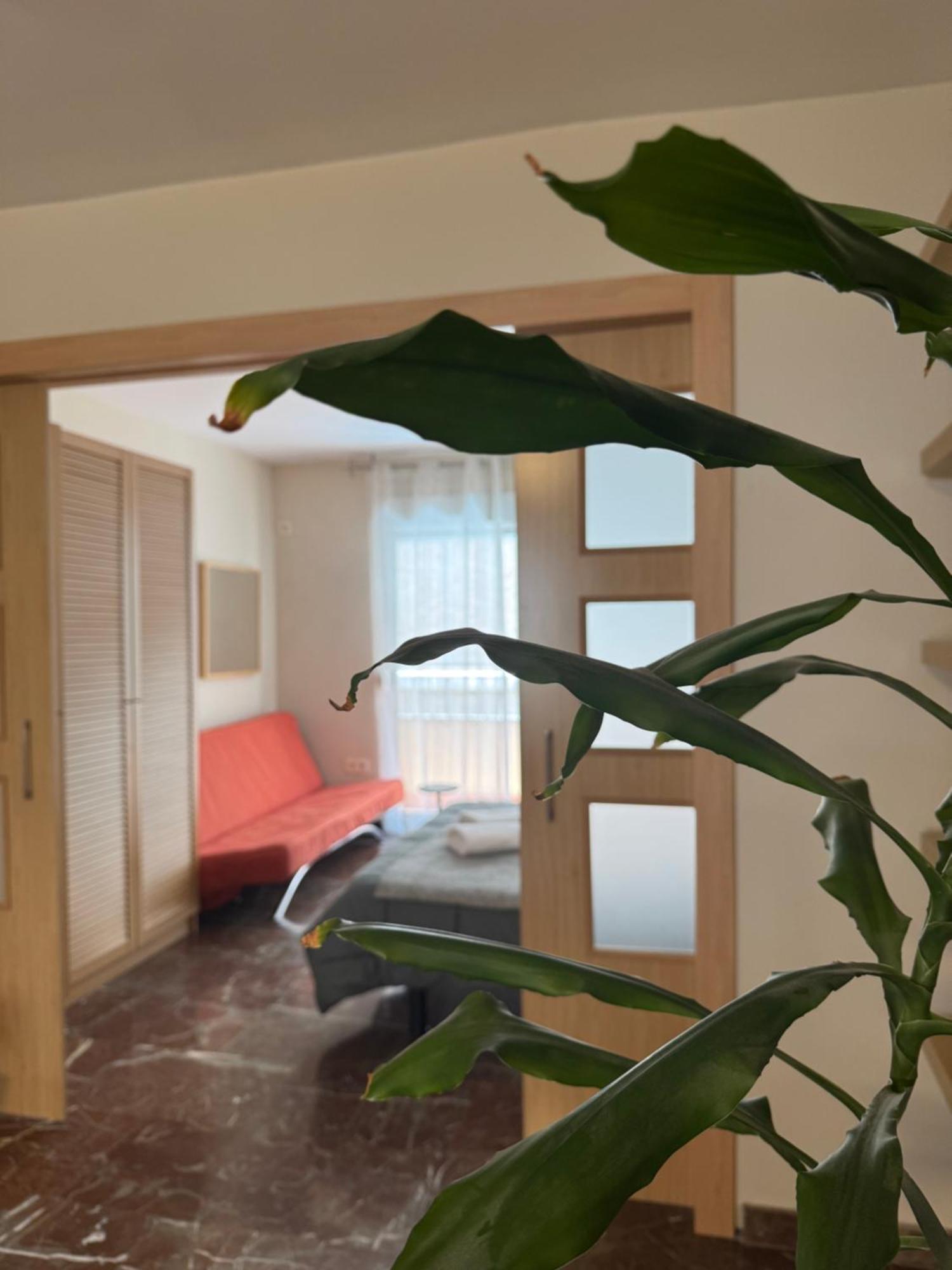 Constitucion Suite Confort D グラナダ エクステリア 写真